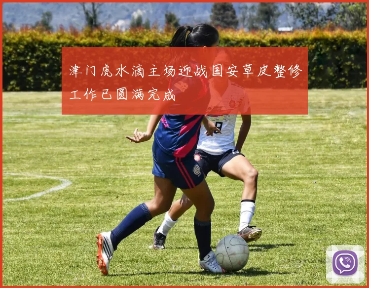 津门虎水滴主场迎战国安草皮整修工作已圆满完成