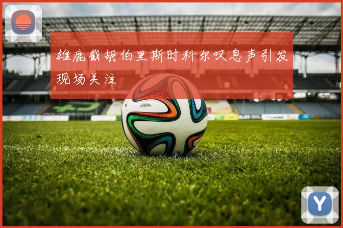 雄鹿截胡伯里斯时科尔叹息声引发现场关注