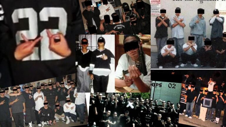 “Vietnamese Boyz Gang”, một thời vẫy vùng trên đất Mỹ