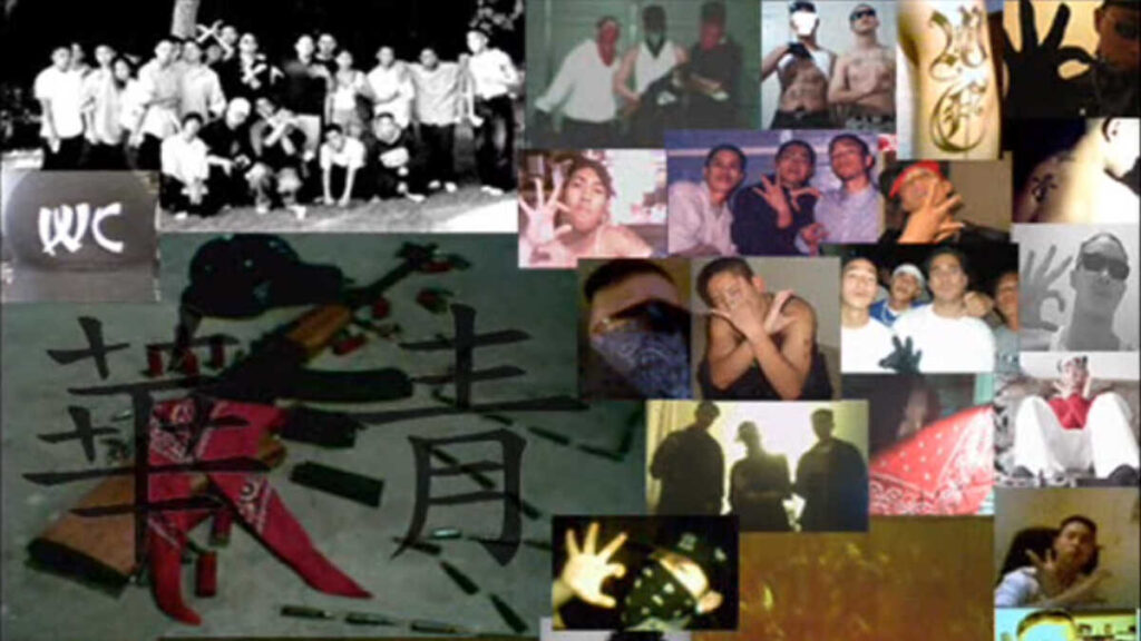 Wah Ching, tổ chức tội phạm gốc Hoa với hàng chục phân đà trên khắp đất ...